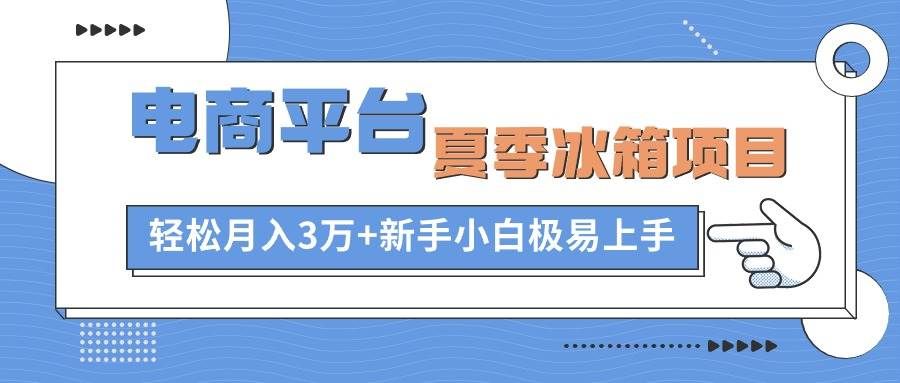 （10934期）电商平台夏季冰箱项目，轻松月入3万+，新手小白极易上手-知享知识库