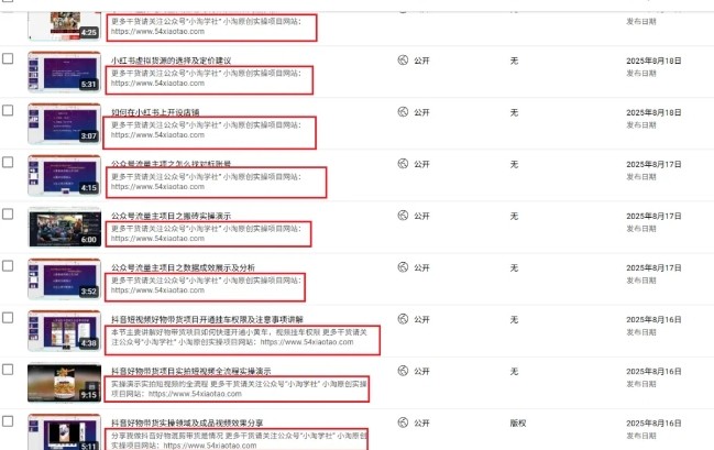 图片[2]-2025油管引流术，分享我是如何通过油管做引流的-知享知识库