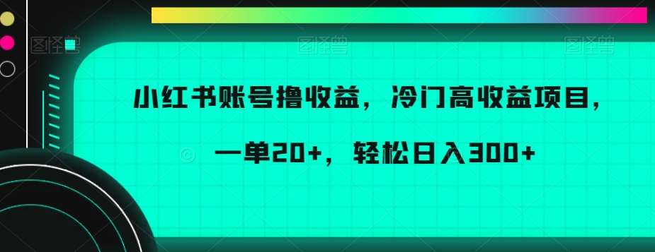 小红书账号撸收益,冷门高收益项目,一单20+,轻松日入300+【揭秘】-知享知识库