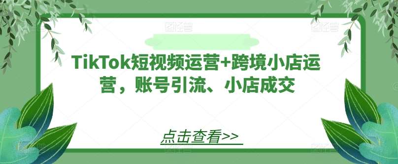 TikTok短视频运营+跨境小店运营，账号引流、小店成交-知享知识库