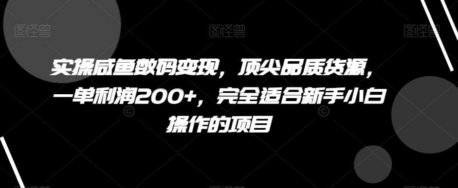 实操咸鱼数码变现，顶尖品质货源，一单利润200+，完全适合新手小白操作的项目【揭秘】-知享知识库