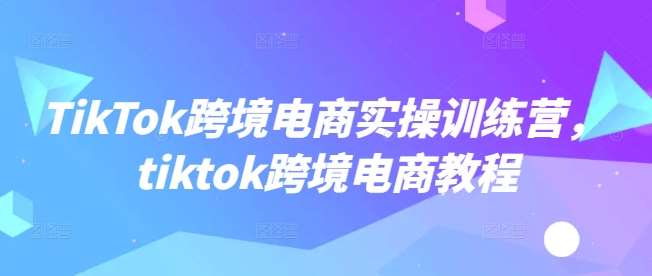 TikTok跨境电商实操训练营，tiktok跨境电商教程-知享知识库