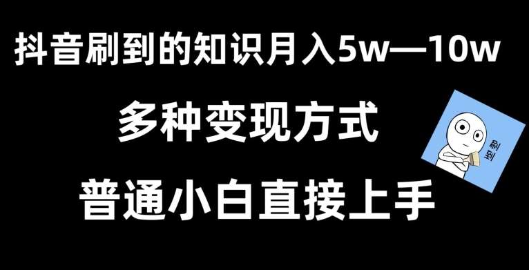 抖音刷到的知识,每天只需2小时,日入2000+,暴力变现,普通小白直接上手【揭秘】-知享知识库