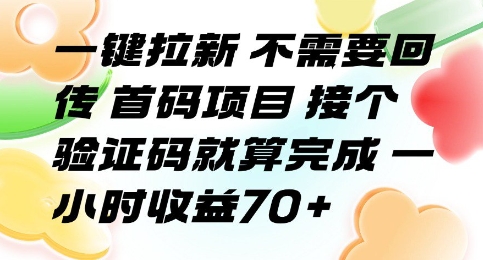 一键拉新 不需要回传 首码项目 接个验证码就算完成 一小时收益70+【揭秘】-知享知识库