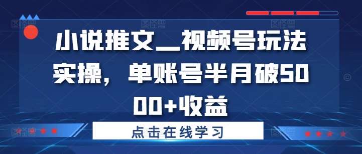 小说推文—视频号玩法实操,单账号半月破5000+收益-知享知识库