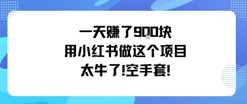 一天挣了9张用小红书做这个项目太牛了,空手套-知享知识库
