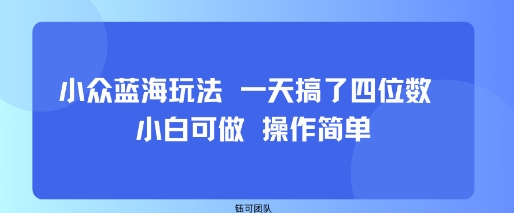 小众蓝海玩法 一天搞了四位数 小白可做 操作简单-知享知识库