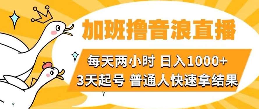 加班撸音浪直播，每天两小时，日入1000+，直播话术才3句，3天起号，普通人快速拿结果【揭秘】-知享知识库