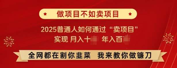 必看，做项目不如卖项目，2025普通人如何通过“卖项目”实现月入十个，年入百个-知享知识库
