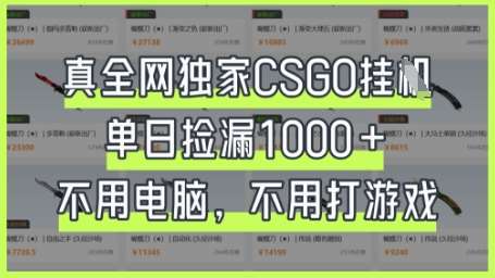 真全网独家CSGO挂G，单日捡漏1k+【揭秘】-知享知识库