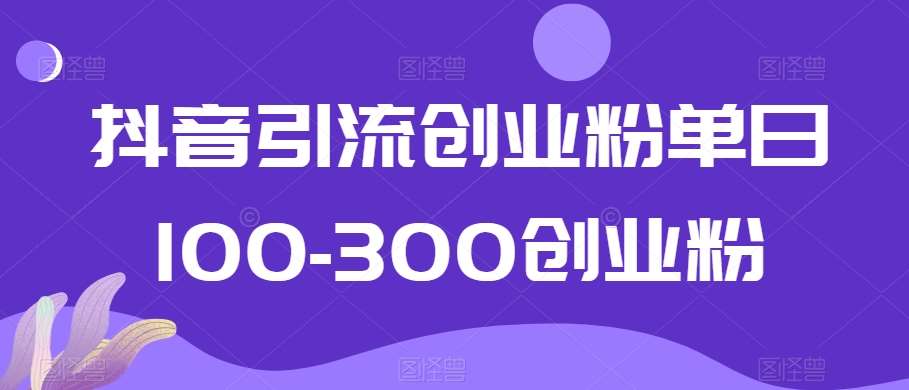 抖音引流创业粉单日100-300创业粉【揭秘】-知享知识库