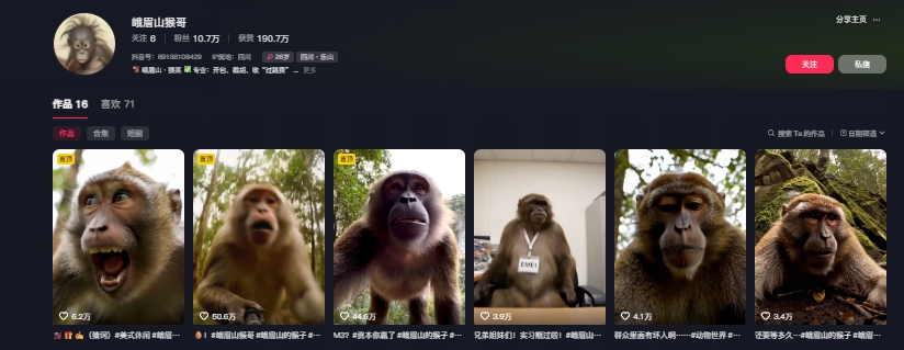 图片[2]-最新爆火的峨眉山猴子短视频制作教程，条条点赞10w+，谁做谁火【教程+提示词】-知享知识库