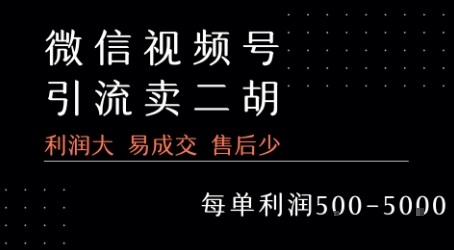 视频号卖二胡教程，利润大 易成交 售后少，一单利润5张+-知享知识库