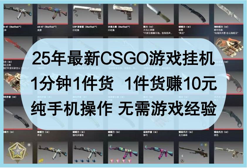25年最新CSGO游戏挂机，1分钟1件货，1件货赚10元，纯手机操作，无需游戏经验-知享知识库