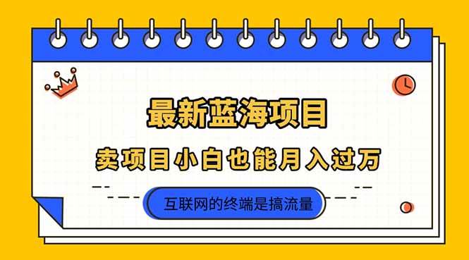 （14289期）2025年最新蓝海项目，卖项目小白也能月入过万-知享知识库