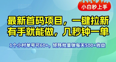 最新首码项目，一键拉新有手就能做，几秒钟一单，1个小时单号可60+，矩阵批量做每天5张【揭秘】-知享知识库