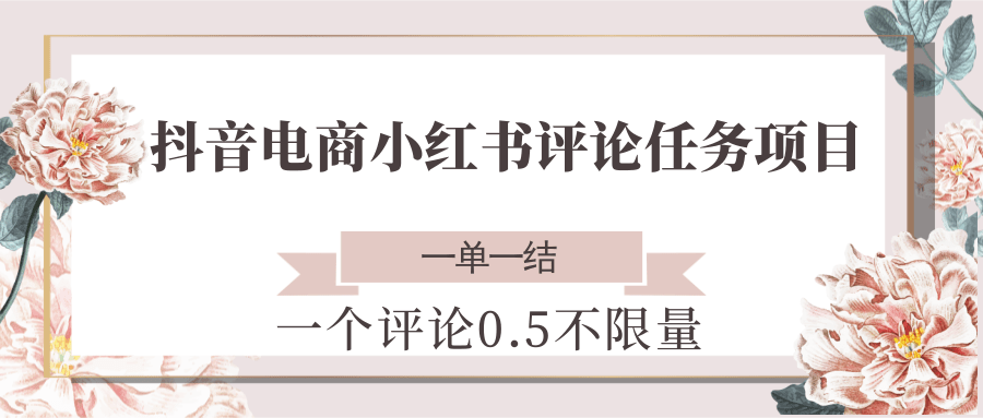 抖音电商小红书评论任务项目，一个评论0.5，一单一结 不限量-知享知识库