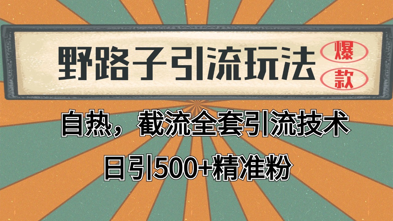 2024首发野路子引流玩法截流自热全平台打法，全自动引流【日引2000+精准客户】-知享知识库