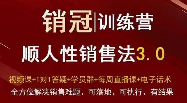 爆款！销冠训练营3.0之顺人性销售法，全方位解决销售难题、可落地、可执行、有结果-知享知识库