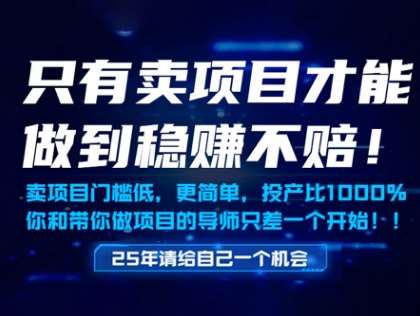 只有卖项目才能做到稳挣不赔，门槛低，更简单，你也可以年入百个W【揭秘】-知享知识库