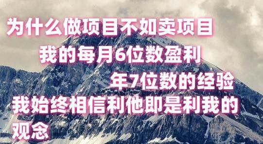 做项目不如卖项目，每月6位数盈利，年7位数经验-知享知识库