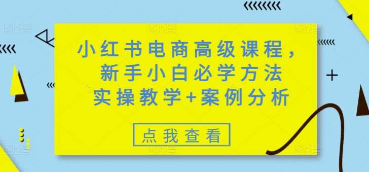 小红书电商高级课程，新手小白必学方法，实操教学+案例分析-知享知识库