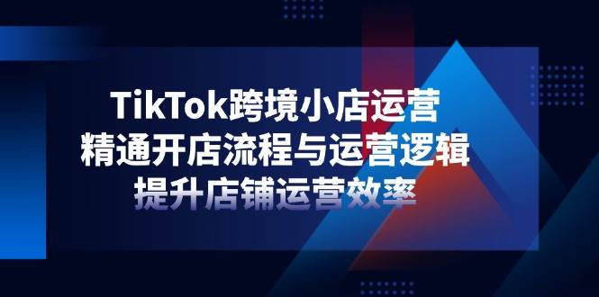 （14369期）TikTok跨境小店运营，精通开店流程与运营逻辑，提升店铺运营效率-知享知识库