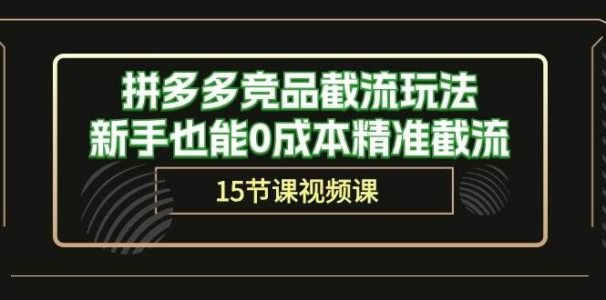 （10301期）拼多多竞品截流玩法，新手也能0成本精准截流（15节课）-知享知识库