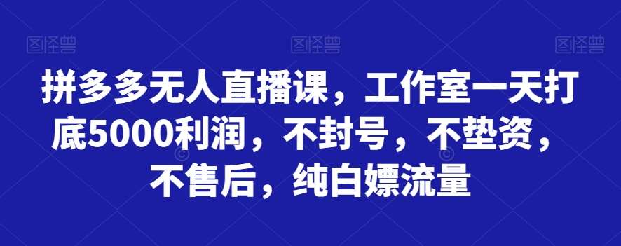 拼多多无人直播课，工作室一天打底5000利润，不封号，不垫资，不售后，纯白嫖流量-知享知识库