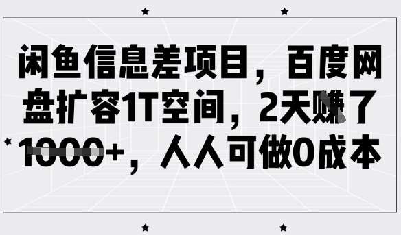 闲鱼信息差项目,百度网盘扩容1T空间,2天收益1k+,人人可做0成本-知享知识库