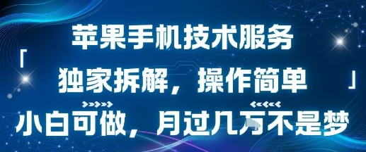 苹果手机技术服务,独家拆解,操作简单,小白可做,月过1W不是梦-知享知识库