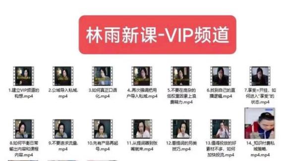 林雨新课VIP频道,玩赚私域/朋友圈/社群-知享知识库