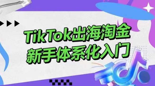 TikTok出海淘金，新手体系化入门，零基础快速入门，掌握短视频、直播带货等引流到变现的知识-知享知识库