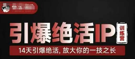 引爆绝活IP训练营，14天引爆绝活，放大你的一技之长-知享知识库