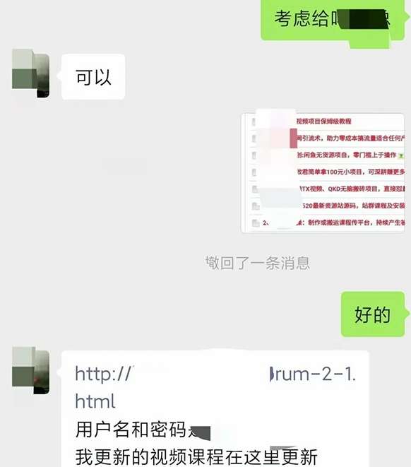 图片[2]-小彬网虚拟资源网站培训课程，如何一个月快速做出盈利的资源网站（实打实经验）-知享知识库