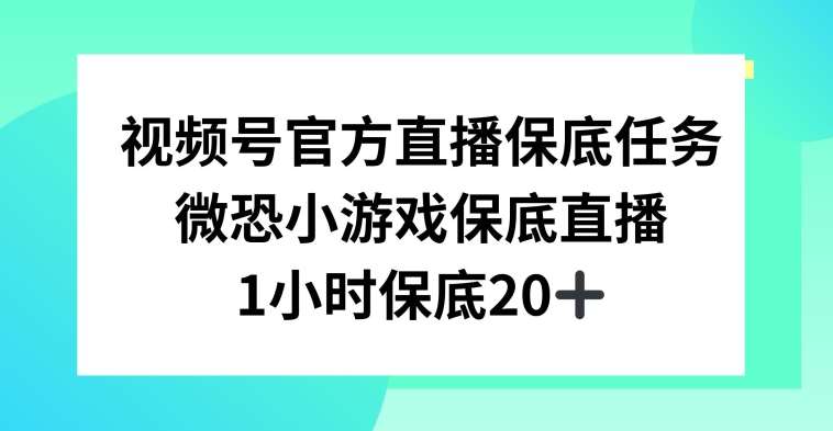 视频号直播任务，微恐小游戏，1小时20+【揭秘】-知享知识库