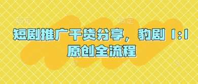 短剧推广干货分享,豹剧 1:1原创全流程-知享知识库