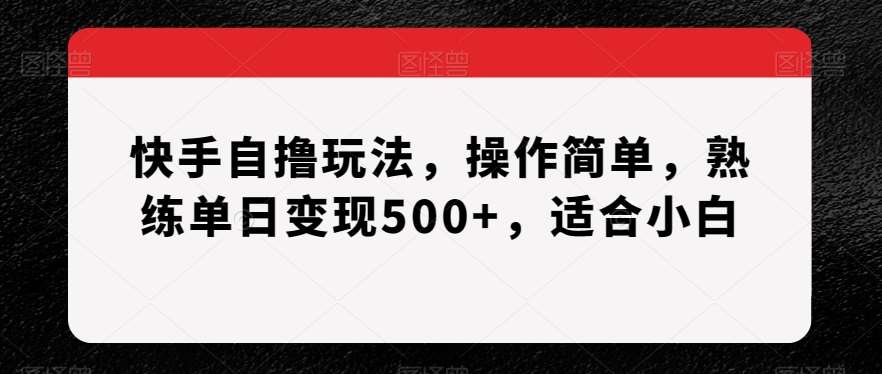 快手自撸玩法，操作简单，熟练单日变现500+，适合小白【揭秘】-知享知识库