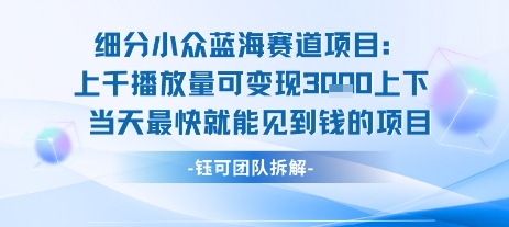 小众蓝海赛道项目：当天变现1k+适合新手操作 +适合长期玩-知享知识库