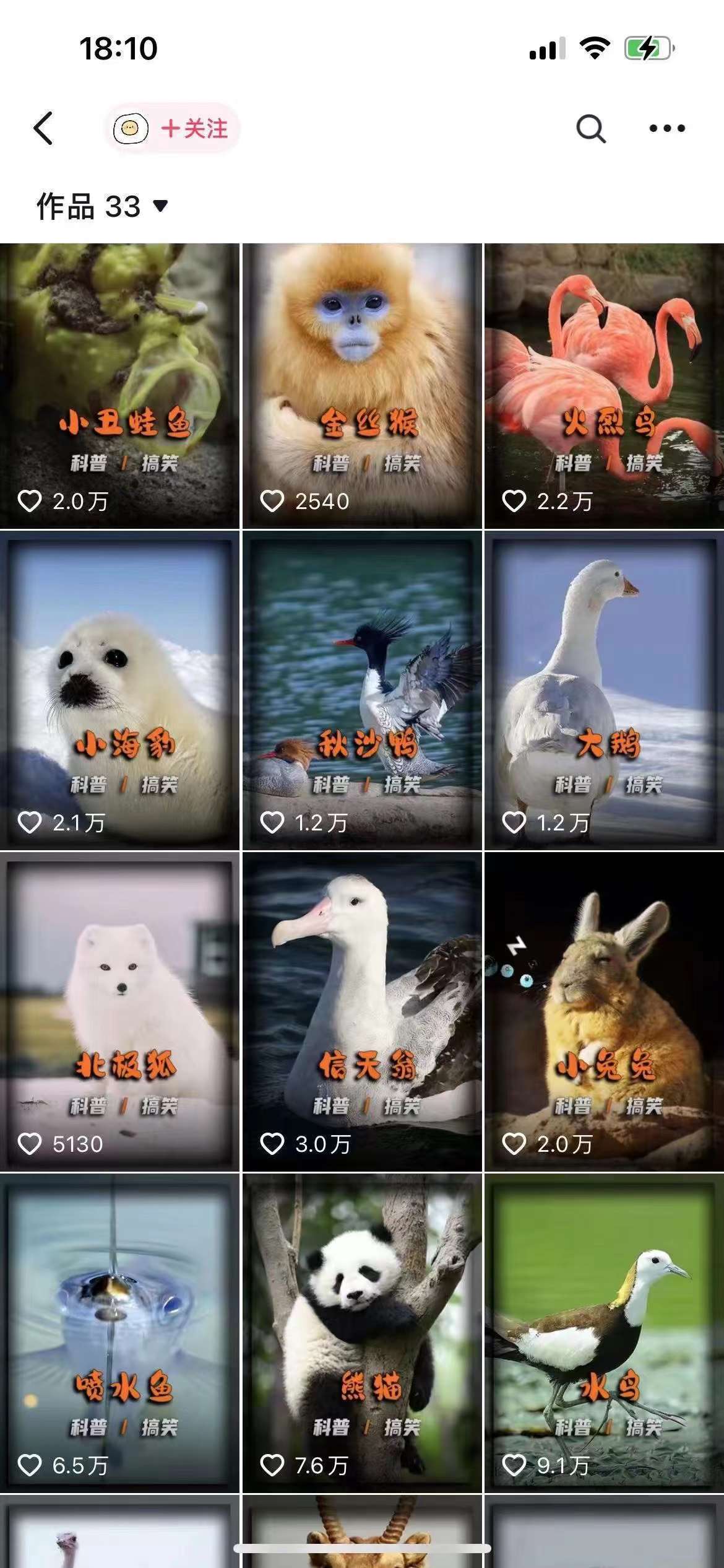 图片[2]-动物科普解说项目，撸创作者伙伴计划收益，保姆级实战教程-知享知识库