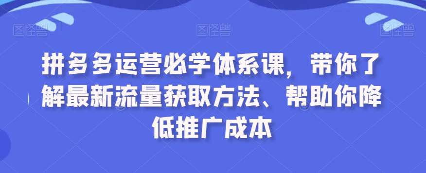 拼多多运营必学体系课，带你了解最新流量获取方法、帮助你降低推广成本-知享知识库