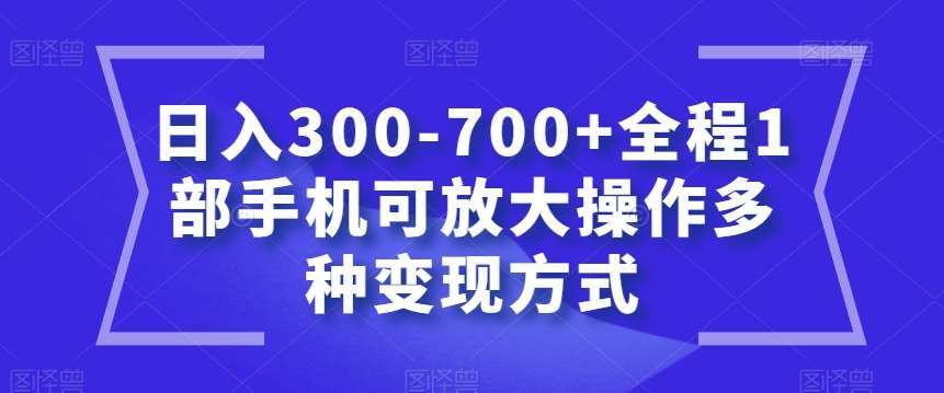 日入300-700+全程1部手机可放大操作多种变现方式【揭秘】-知享知识库