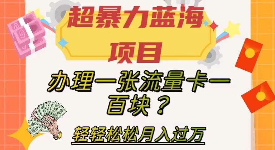 超暴力蓝海项目，办理一张流量卡一百块？轻轻松松月入过万，保姆级教程【揭秘】-知享知识库