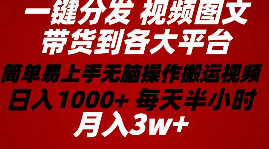 （10667期）2024年 一键分发带货图文视频  简单易上手 无脑赚收益 每天半小时日入1…-知享知识库