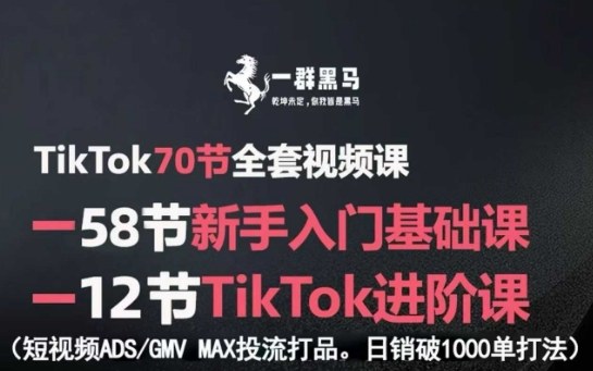 TikTok全套视频课,新手入门+进阶课,短视频ADS-GMV MAX投流打品,日销破1000单打法-知享知识库