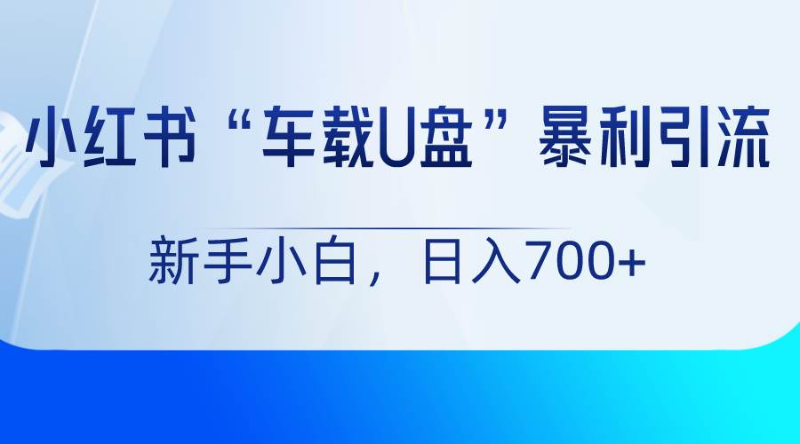 小红书“车载U盘”项目,暴利引流,新手小白轻松日入700+-知享知识库