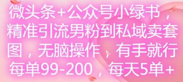 微头条+公众号小绿书，精准引流男粉到私域卖套图，无脑操作，有手就行，每单99-200，每天5单-知享知识库