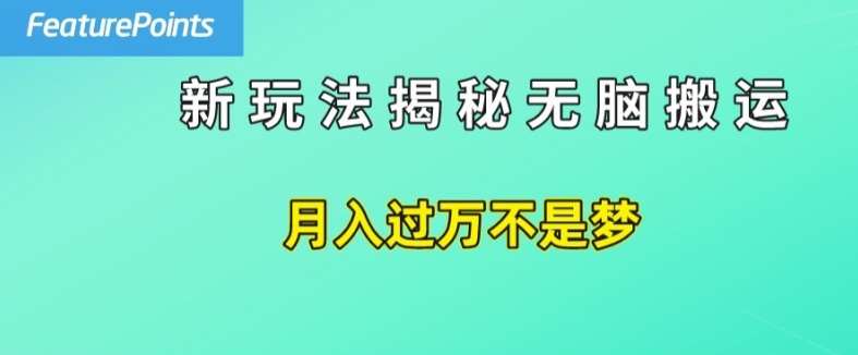 简单操作，每天50美元收入，搬运就是赚钱的秘诀【揭秘】-知享知识库