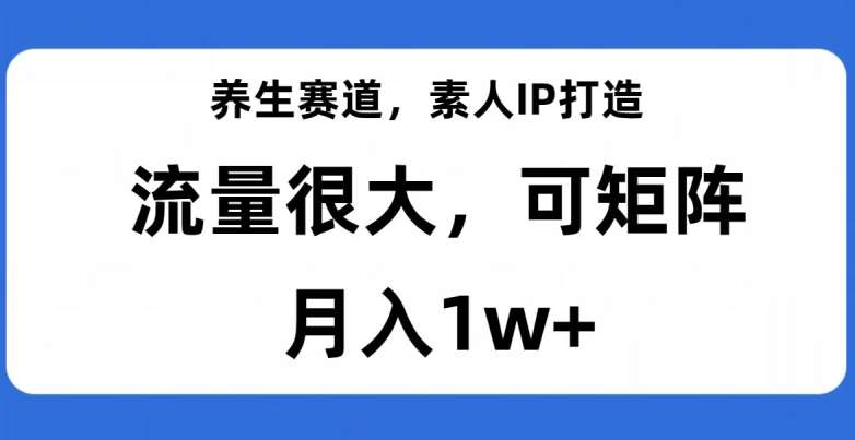 养生赛道，素人IP打造，流量很大，可矩阵，月入1w+【揭秘】-知享知识库