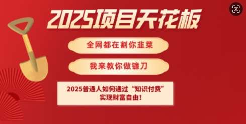 2025项目天花板普通人如何通过知识付费,实现财F自由【揭秘】-知享知识库